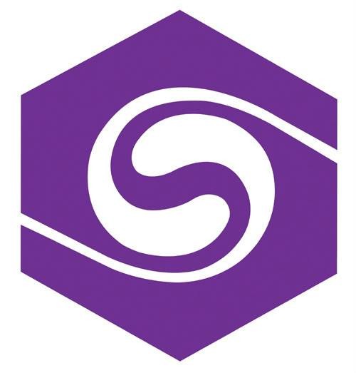 济南圣泉集团股份有限公司