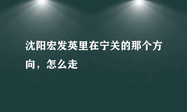 沈阳宏发英里在宁关的那个方向,怎么走